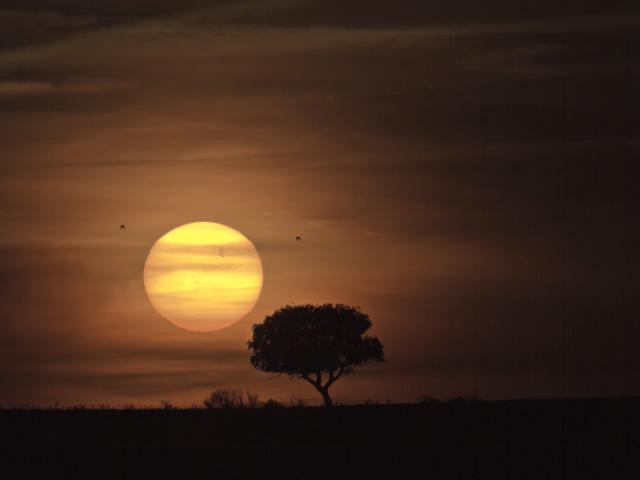 Sunspot Group 1429 and the Distant Sun