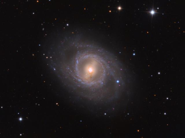 M95 with Supernova
