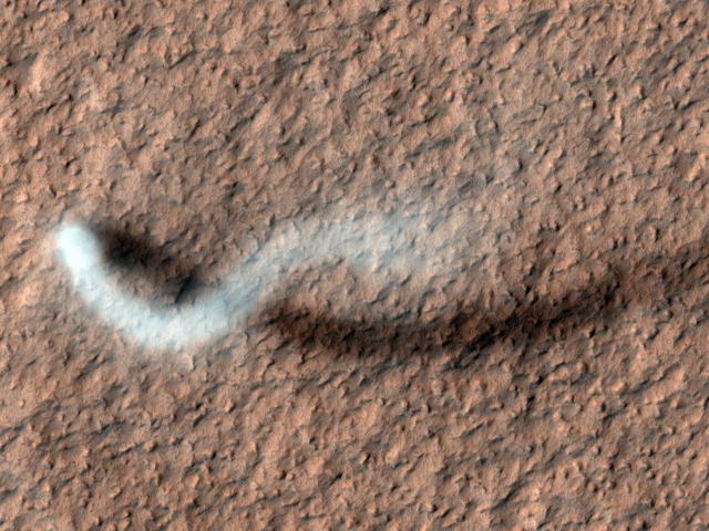 A Dust Devil of Mars
