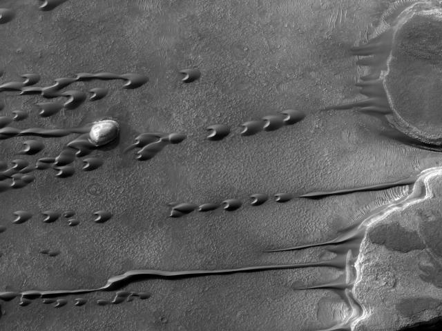 Flowing Barchan Sand Dunes on Mars