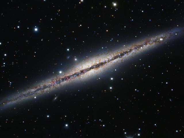 At the Edge of NGC 891