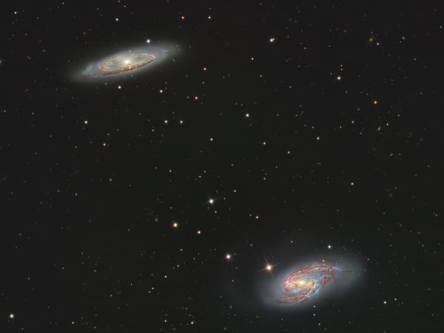 M65 and M66