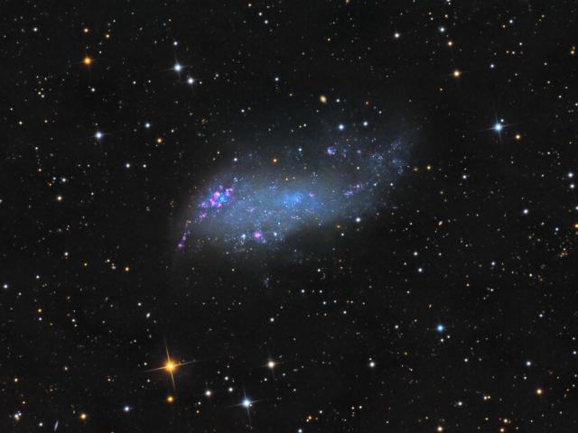 IC 2574: Coddington’s Nebula