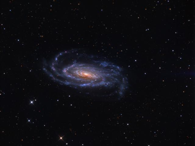 Spiral Galaxy NGC 5033