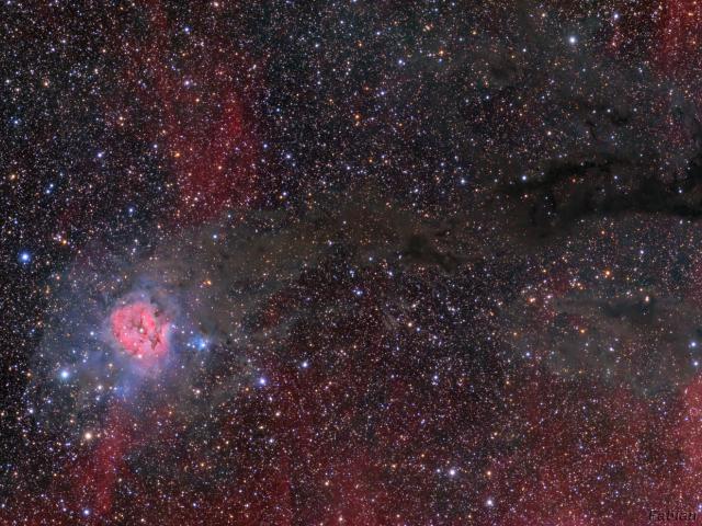 Cocoon Nebula Wide Field