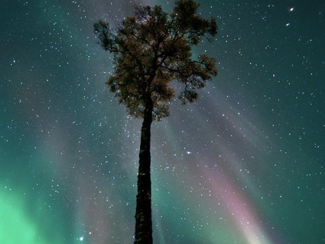 September Aurora