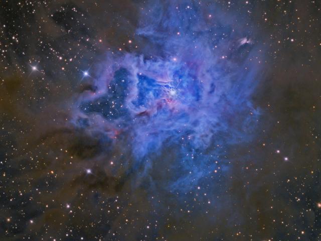 NGC 7023: The Iris Nebula