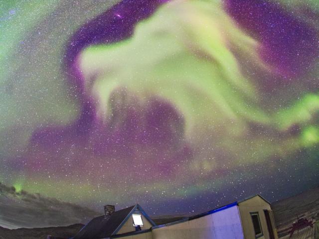 Goat Aurora Over Greenland