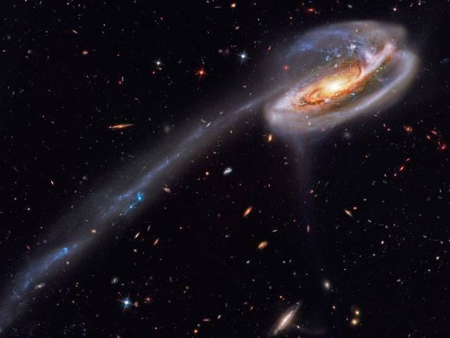 Arp 188 and the Tadpole’s Tail