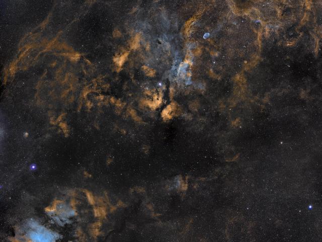 Clouds in Cygnus