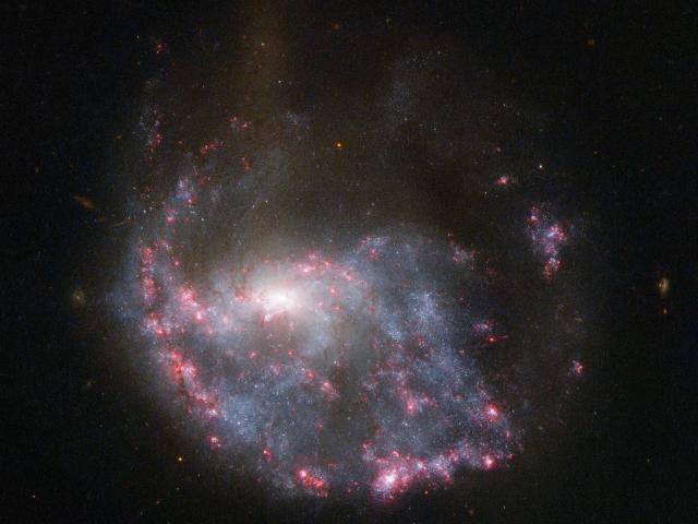 NGC 922: Collisional Ring Galaxy