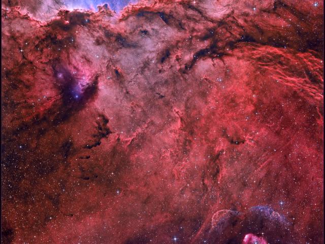 NGC 6188 and NGC 6164