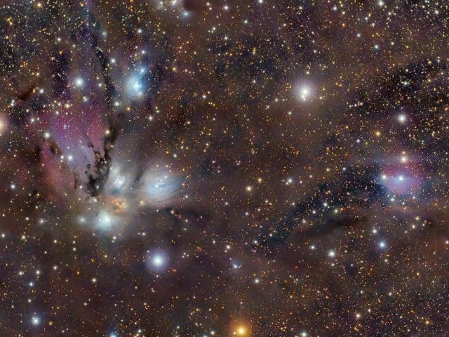 NGC 2170: Celestial Still Life