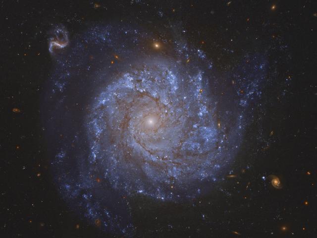 NGC 1309: Spiral Galaxy and Friends