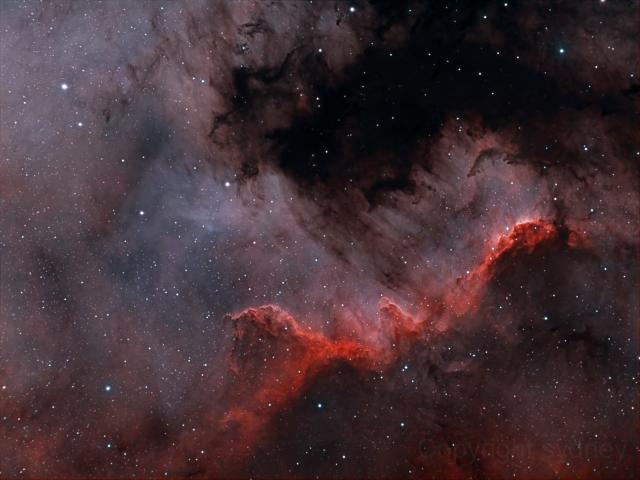 The Cygnus Wall of Star Formation