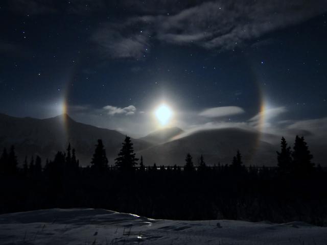 Alaskan Moondogs