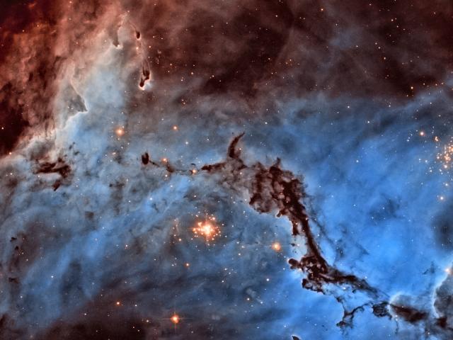 N11: Star Clouds of the LMC