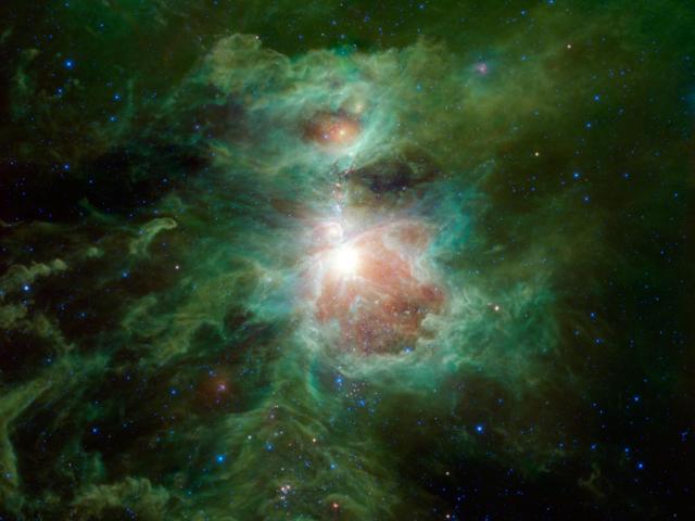 Infrared Orion from WISE