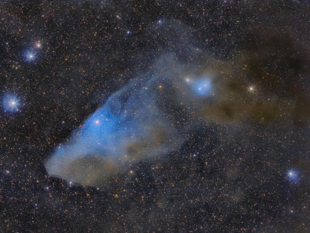 IC 4592: The Blue Horsehead Reflection Nebula