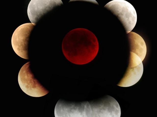Lunar Eclipses