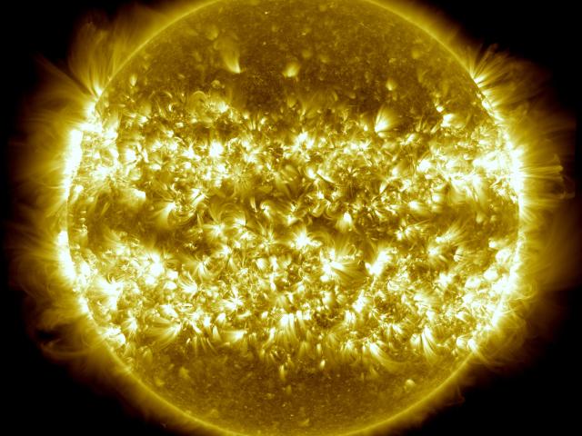 A Year on the Sun