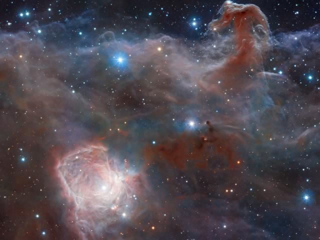 Horsehead: A Wider View