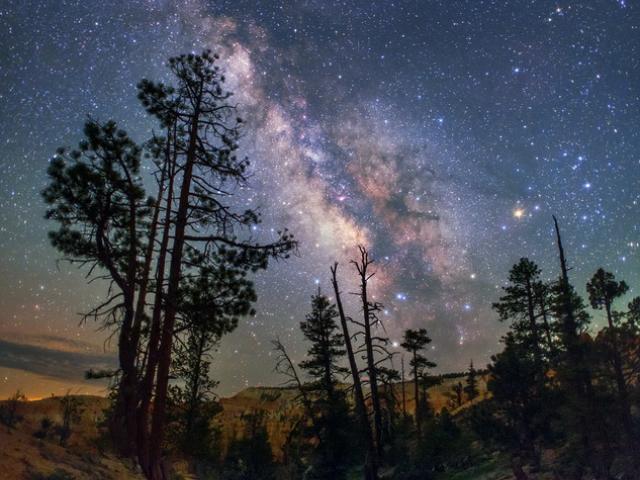 The Milky Trail