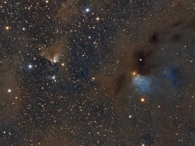 Dusty Nebulae in Taurus