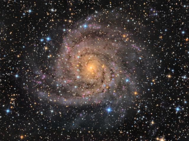 Hidden Galaxy IC 342