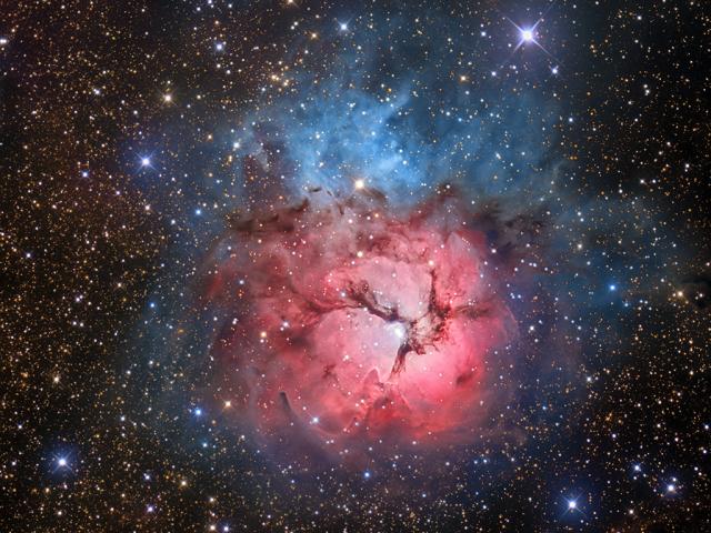 The Beautiful Trifid