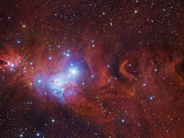 In the Vicinity of the Cone Nebula
