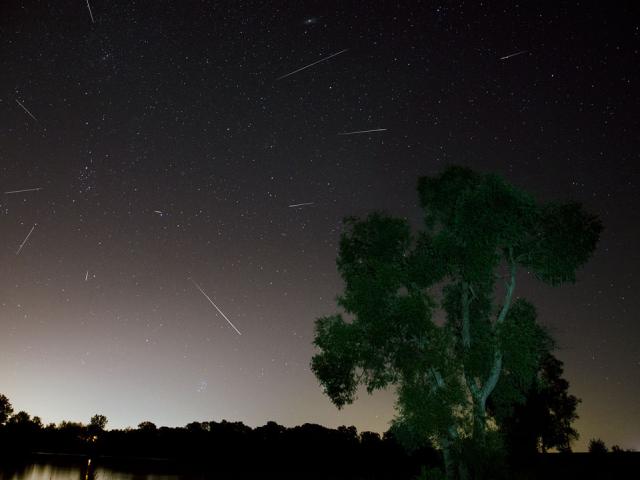 Perseid Meteors Over Ontario
