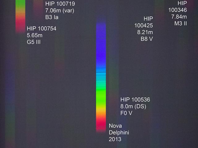 A Spectrum of Nova Delphini