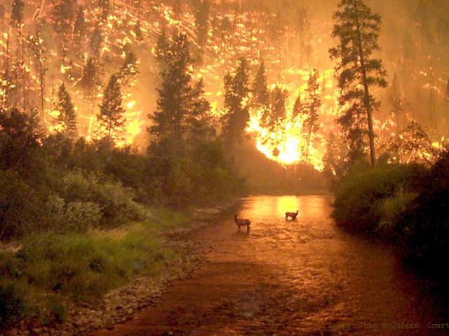 Fire on Earth