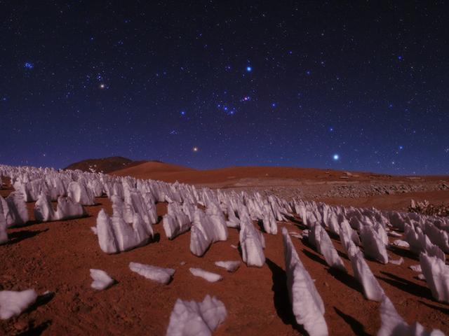 Night in the Andes Ice Forest
