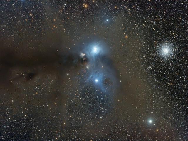 Stars and Dust Across Corona Australis