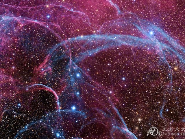 Filaments of the Vela Supernova Remnant