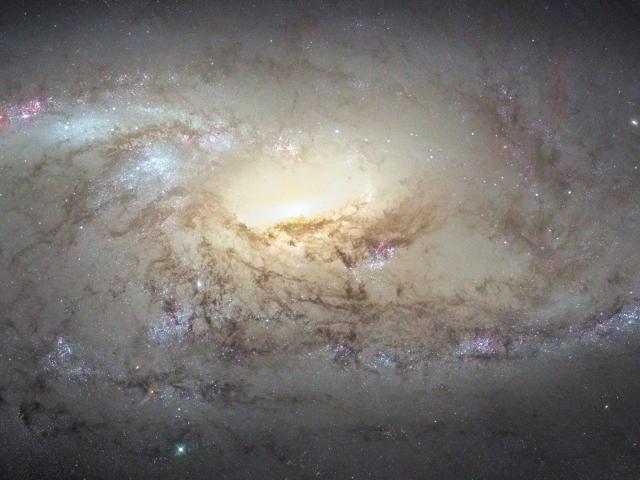 M106 Close Up