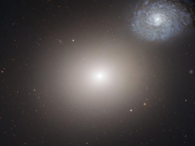 The Densest Galaxy