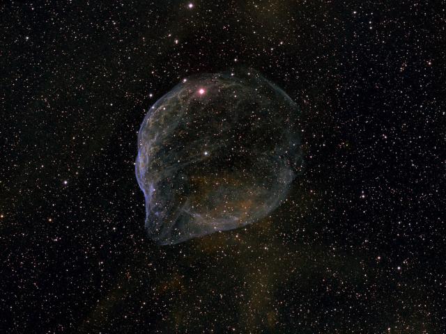 Sharpless 308: Star Bubble