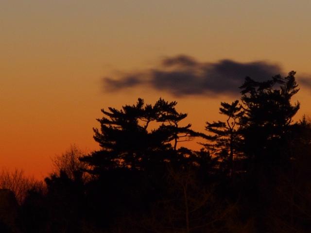 A New Year’s Crescent