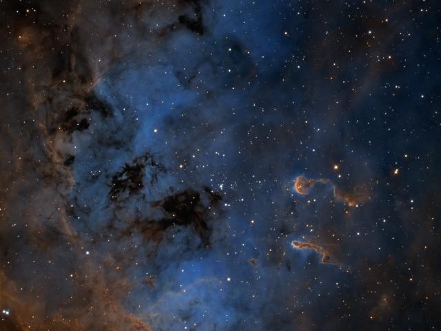 The Tadpoles of IC 410