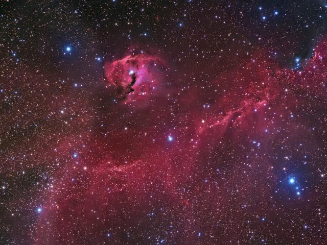 The Seagull Nebula