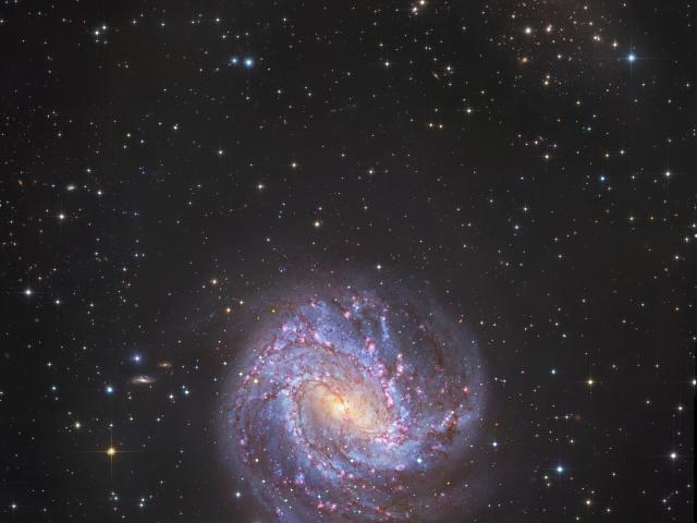 M83 Star Streams