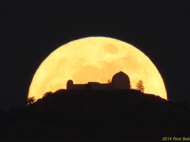 Apogee’s Full Moon