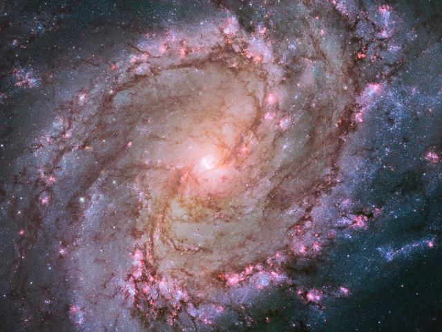 Spiral Galaxy M83: The Southern Pinwheel