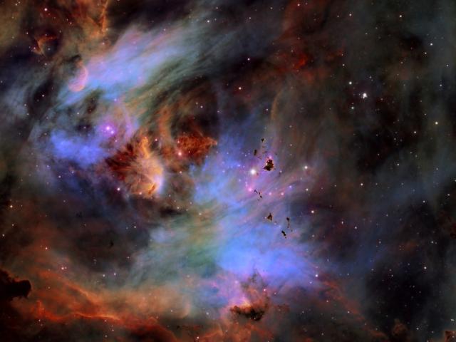 Globules in the Running Chicken Nebula