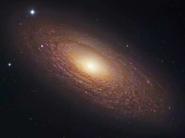 Massive Nearby Spiral Galaxy NGC 2841
