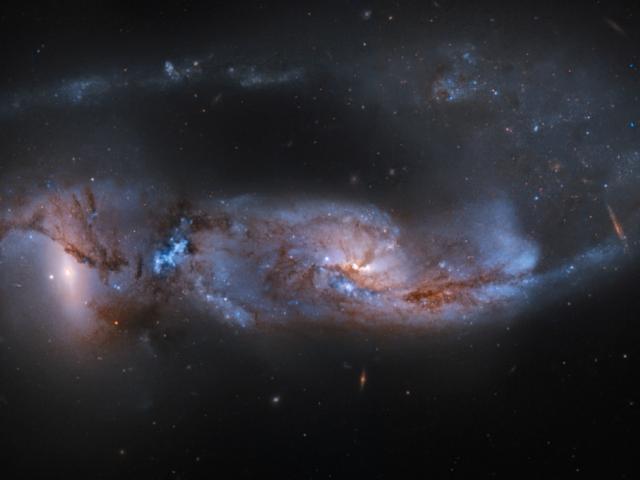 Arp 81: 100 Million Years Later