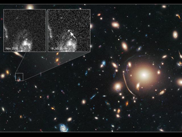 Galaxy Cluster Magnifies Distant Supernova